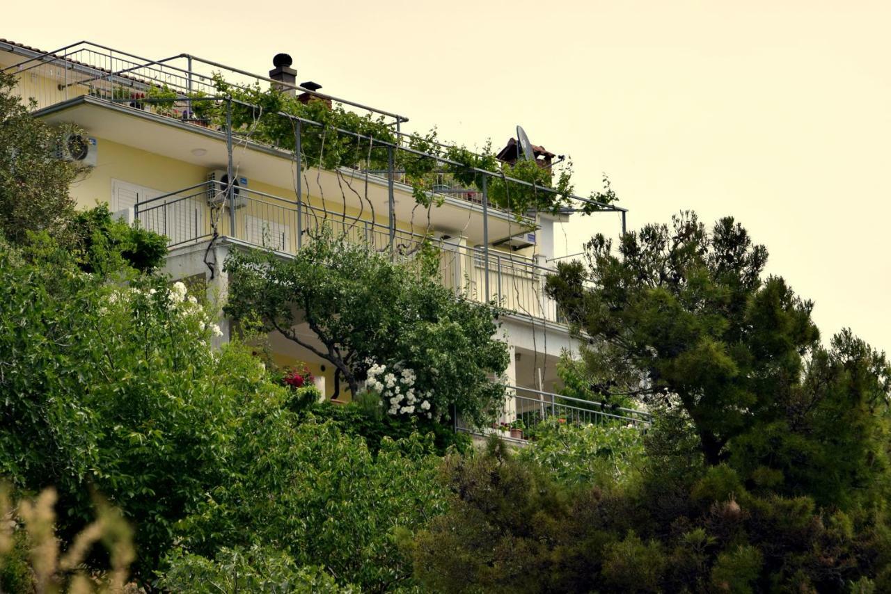 Apartments Kk Celina Zewnętrze zdjęcie
